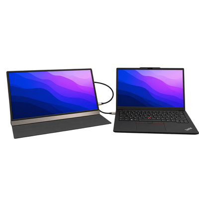 Alu Pro Draagbare Single Schermuitbreider - 15,6"